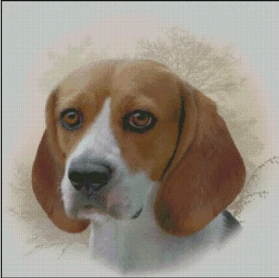 (image for) Beagle